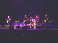 The Searchers