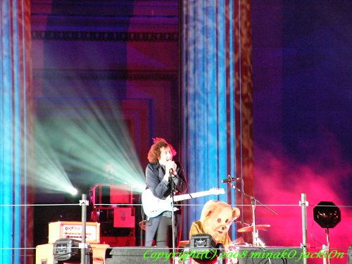 The Wombats