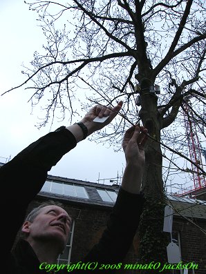 Yoko Ono; Wish Tree for Bluecoat