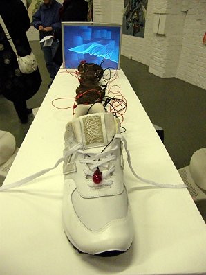 Jen Liu, 'Potato Battery Unknown Pleasure 1: Dylan Adair's New Balance Leads the Way' 2008