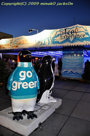 at Ice Skating Rink