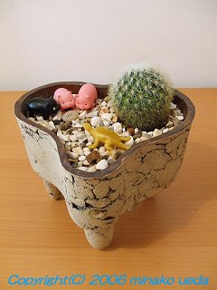 Peter Lewis Cacti pot