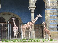 Zoo Berlin