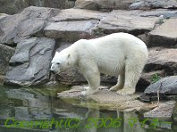 Zoo Berlin