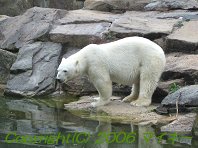 Zoo Berlin