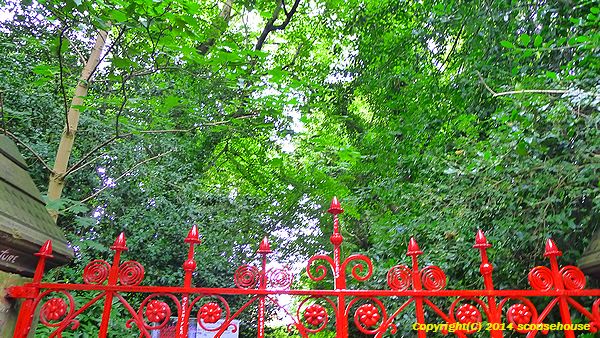 Strawberry Field